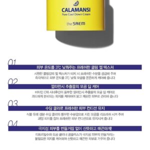 Calamansi Pore Cool Down Cream - Image 3