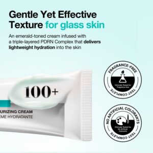 PDRN Hyaluronic Acid 100 Moisturizing Cream - Image 5